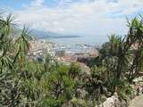 Promenade au paradis: le jardin exotique de Monaco
