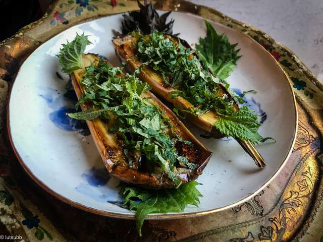 Recette Shiso : Recettes De Shiso