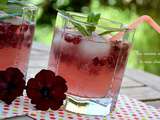 Cocktail  Pink Tonic  ! Pamplemousse rose, cassis, citron vert et grenade (sans alcool)
