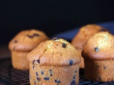 Muffins aux Pépites de Gallymini