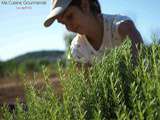 Truc & Co, des herbes bio aux parfums de Provence