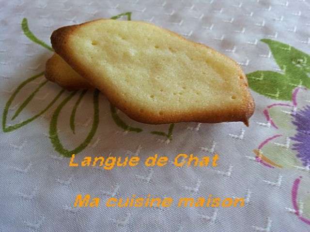 Recettes de Chat de Ma cuisine maison