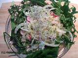 Salade vitaminée au fenouil, radis et alfalfa, sur lit de mesclun
