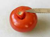 Monder une tomate