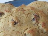 Cookies à la farine de Teff et aux cranberries séchées