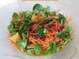 Salade vitaminée aux carottes, grenade et orange