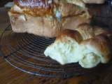 Brioche ou coquille de noel à la farine de gruau