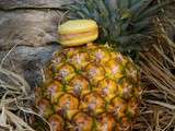 Macaron ananas rhum