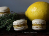 Macaron lemon curd et thym (citron et thym)