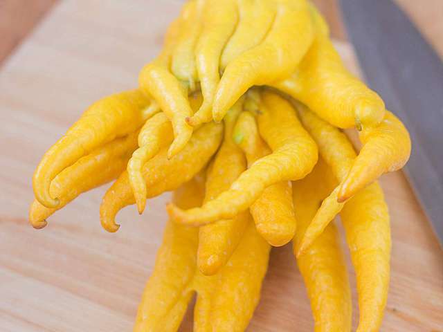 Prix : €2.50 - Graines De Main De Bouddha