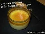 Crèmes brûlées à la Fleur d'Oranger