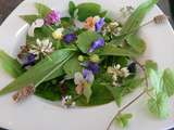 Salade d ‘herbes et fleurs sauvages