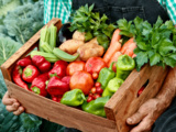 3 Gestes de pro pour garder vos légumes juteux et sauver les récoltes sous la canicule