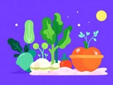 5 Légumes à semer en ce moment pour récolter même sous le froid