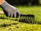 Ce geste de pelouse du 1er avril, conseillé par un pro, supprime la mousse et métamorphose votre gazon