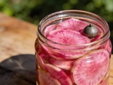 Lactofermentation de radis roses : prêt en 4 jours, se conserve des mois