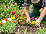 Planter vos bulbes d’automne : l’astuce pour un printemps spectaculaire