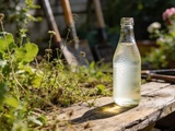 Vinaigre blanc au jardin : l’astuce désherbante qui peut virer au cauchemar écologique