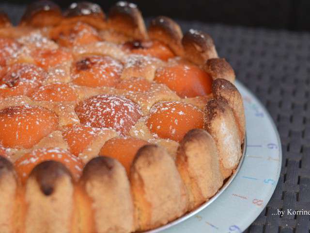 Recettes De Tarte Aux Abricots De La Cuisine De Mamie Caillou