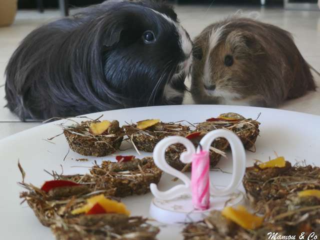 Recettes de Cochon et Biscuits