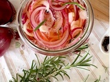 Pickels d’oignons rouges maison