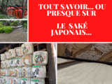 Tout savoir ou presque… sur le saké japonais