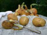 Comment recycler les épluchures de légumes