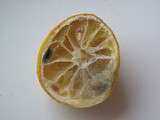Ne jetez plus le citron