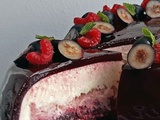 Entremets sans gluten vegan