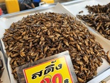 Guide des insectes comestibles de Thaïlande