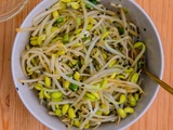 Salade de Germes de Haricots Mungo Coréenne – Kongnamul Muchim
