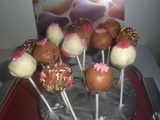 Pops cake choco vanille
