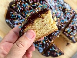 Gâteau vanille moelleux, glaçage chocolat (doudou à souhait)
