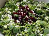 Salade « retour du marché » pour un plein de vitamines