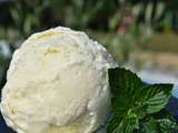 Crème glacée à la menthe fraîche