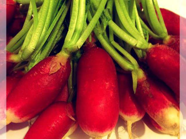 Recettes de Fanes de Radis de Merci Mamie