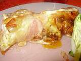 Cannellonnis lardés de jambon de parme, garniture poulet gorgonzola à la sauce mornay au paprika