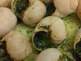 Coquilles d'escargots fait maison au beurre persillé cannelle et ricard