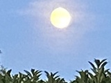 Pleine Lune et moment de douceur