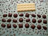 Chocolats crus maison aux pépites de cacao et aux graines de chia (diététiques, végans, bio, sans gluten et riches en fibres)