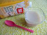 Flans diététiques végans avoine vanille à l'agar-agar à 50kcal (hypocaloriques, sans sucre ni oeuf ni lactose, riches en fibres)