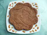 Gâteau moelleux diététique sans gluten noix de coco et cacao cru avec Sukrin (sans oeufs et sans beurre)