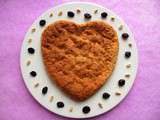 Pancake xxl diététique hyperprotéiné vanille-cookie-cranberry au blé soufflé (végétarien, sans beurre ni sucre, riche en fibres)