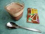 Yaourts-flans maison diététiques au bio-flan chocolat et à la stévia (sans sucre ni lait en poudre)