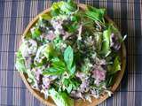 Phlea Sach Ko (Salade Cambogienne au Boeuf) | Mes Inspirations Gourmandes