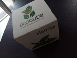 Ecocube herbes aromatiques (menthe)