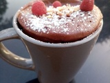Mug cake au nutella