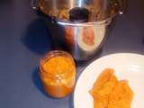Purée de carottes au companion (mini bol ou pas)