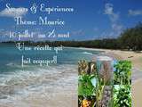 Participation au Concours  l'île Maurice  chez Saveurs et Expériences