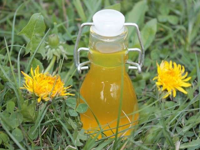 sirop de fleurs de pissenlits